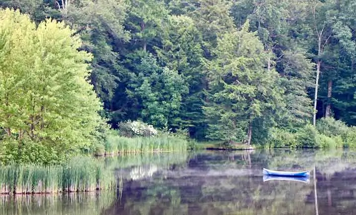 DEPTH PSYCHOLOGY - The Horizon & The Canoe’s Journey