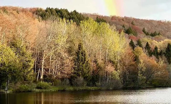 EMDR- Seeing the Light & Healing Rainbow