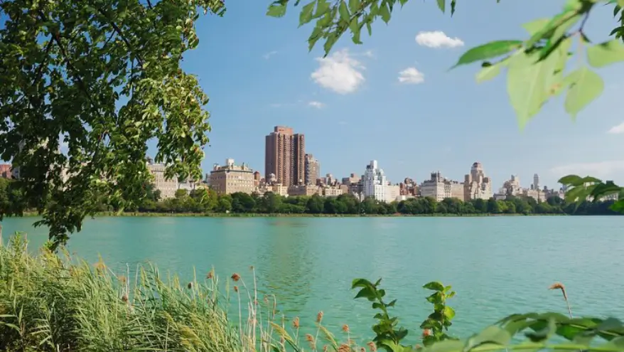 addiction treatment in New York