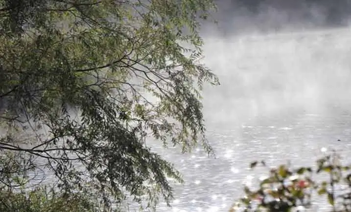 Dialectical Behavior Therapy (DBT)