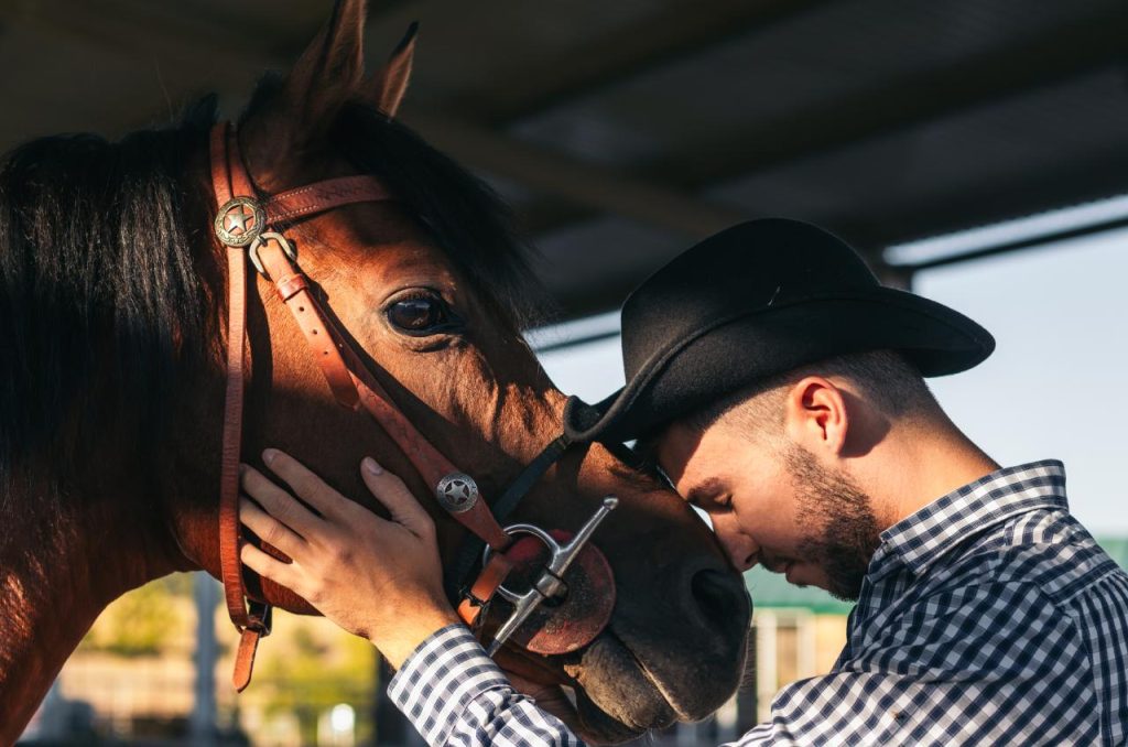Equine therapy