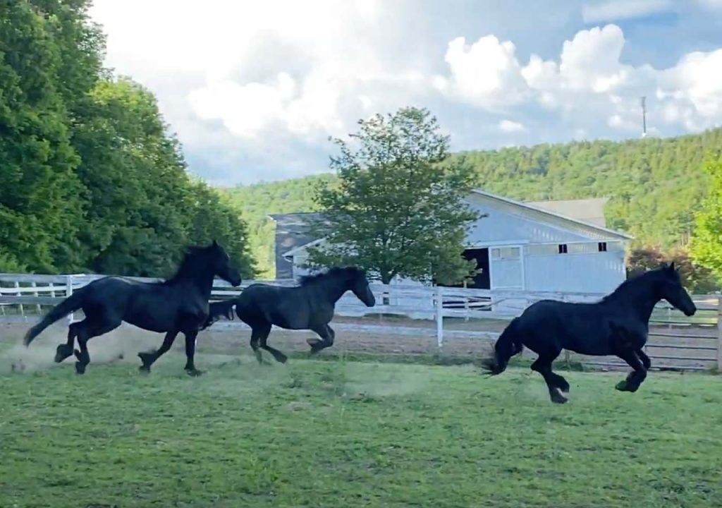 life at rippling